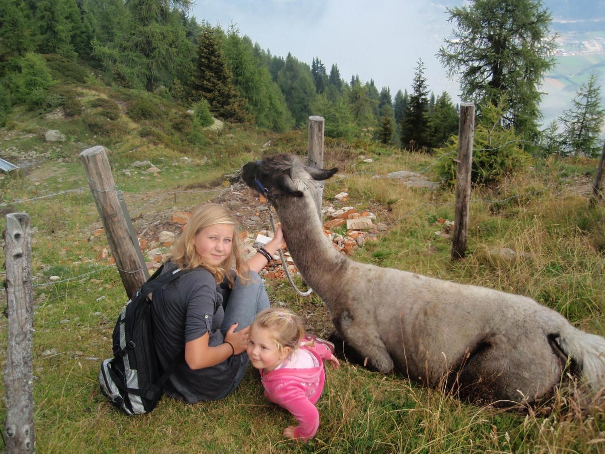 Ferienwohnungen Fischerhaus - Direkt Am See Millstatt Exteriér fotografie